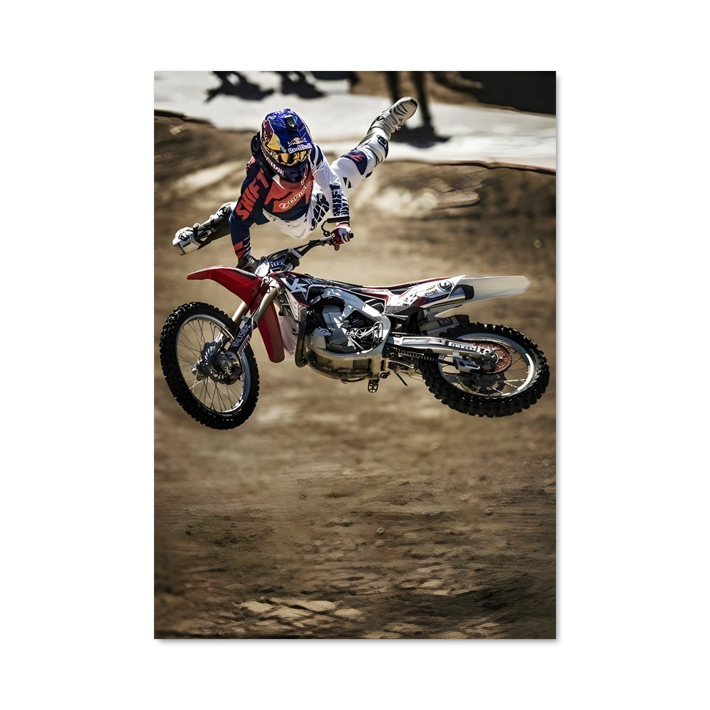 Poster Tricks en Plein Vol